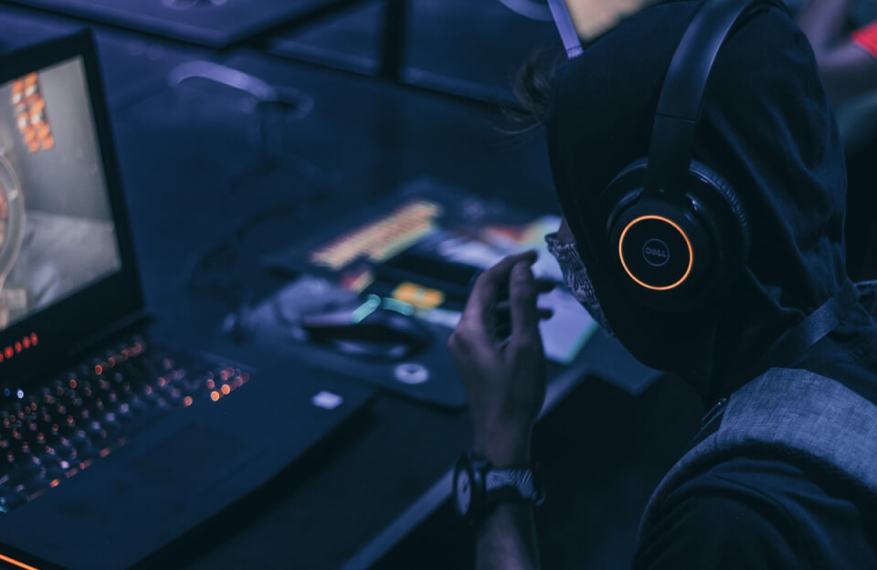 Read more about the article A Genetic Oddity May Give Octopuses and Squids Their Smarts